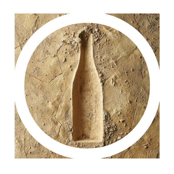 Sensory Intelligence Wine